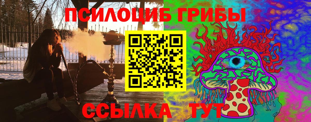 Вышний Волочёк  Псилоцибиновые грибы Cubensis  Вход с VPN 